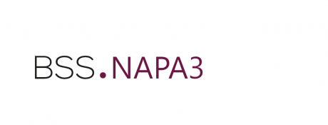 Jahreswechsel Webinar zum Lohn mit NAPA3